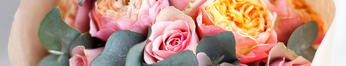 купить цветы Мексика от Grand-flora